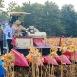Presiden Prabowo dan Kapolri Panen Raya Jagung Nasional di Tuban Perkuat Ketahanan Pangan